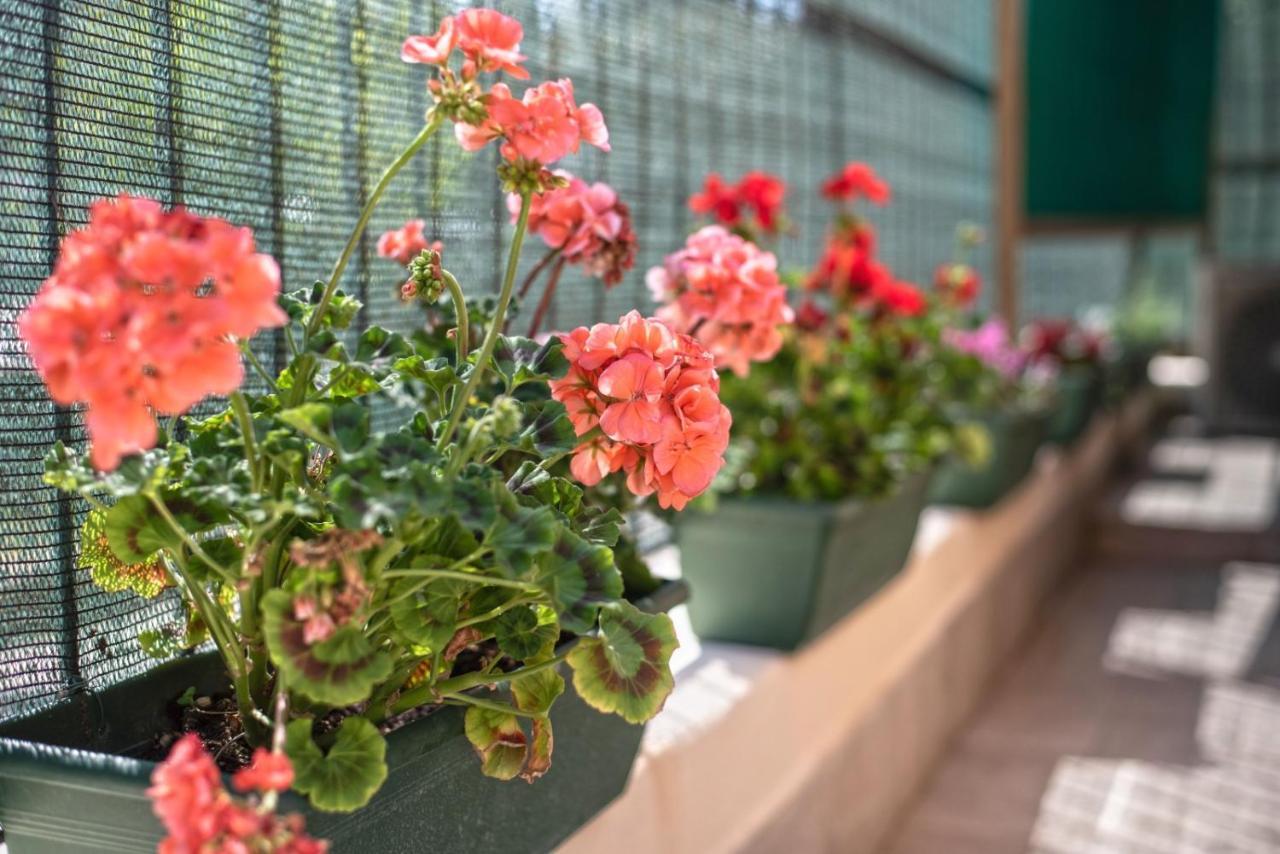 Apartment Garden House Vale Rom